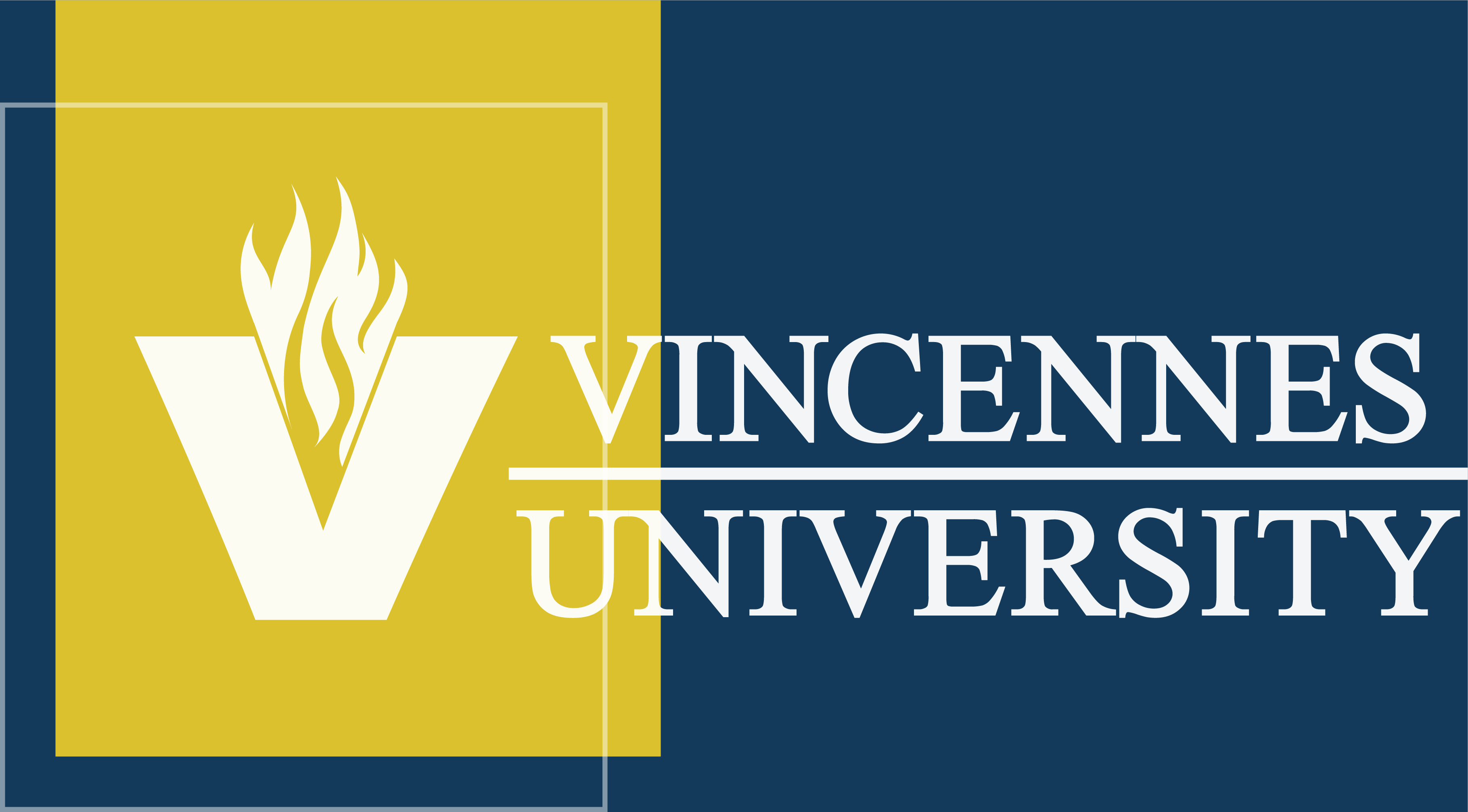 VU logo with flame